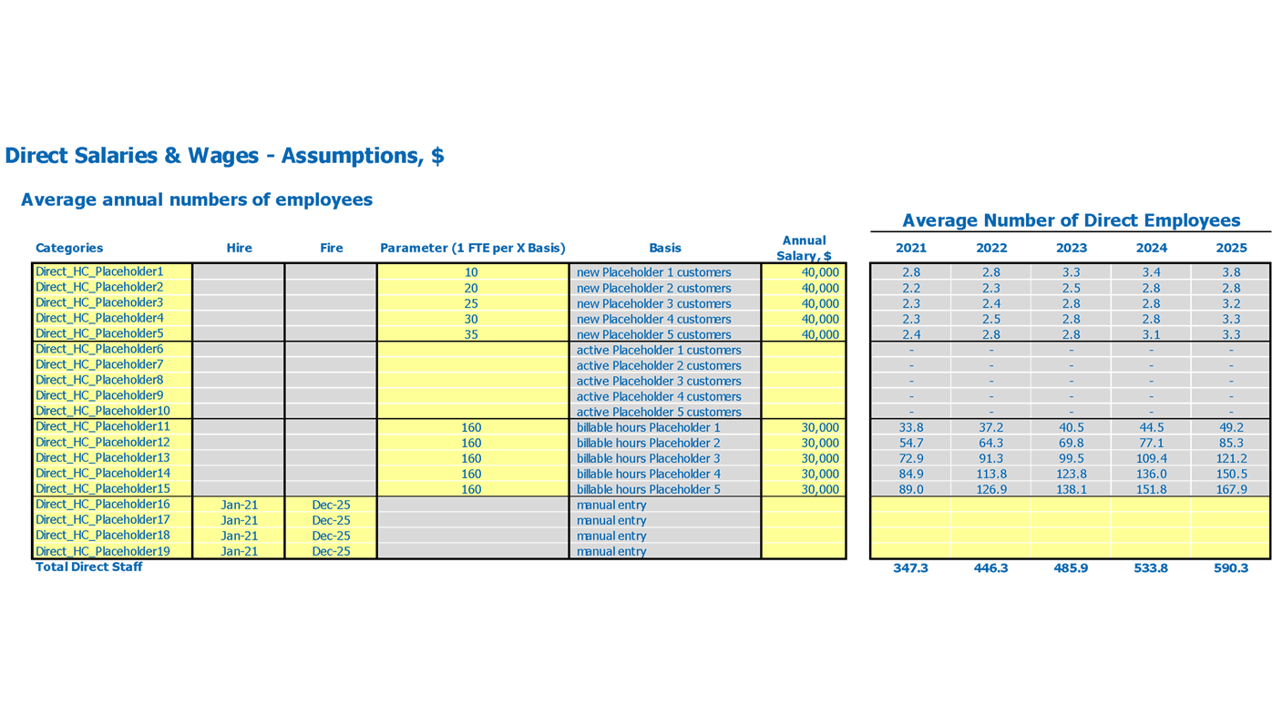 Insurance Agency Financial Plan Excel Template Direct Wages Assumptions