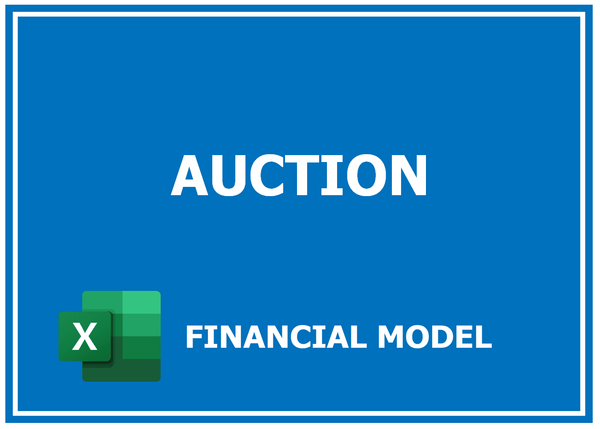 Auction Financial Model