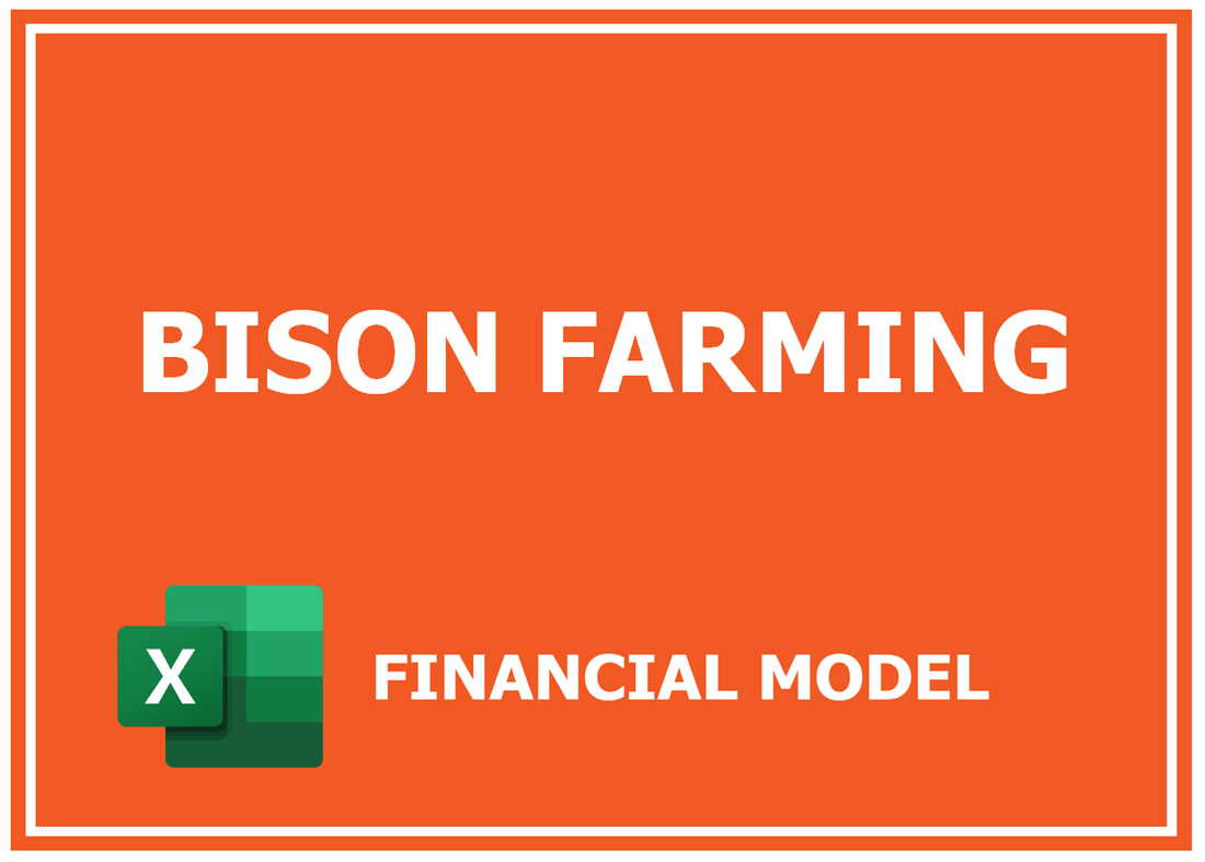 Bison Farming Financial Model