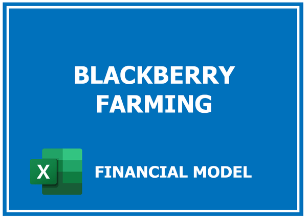 Blackberry Farming Financial Model