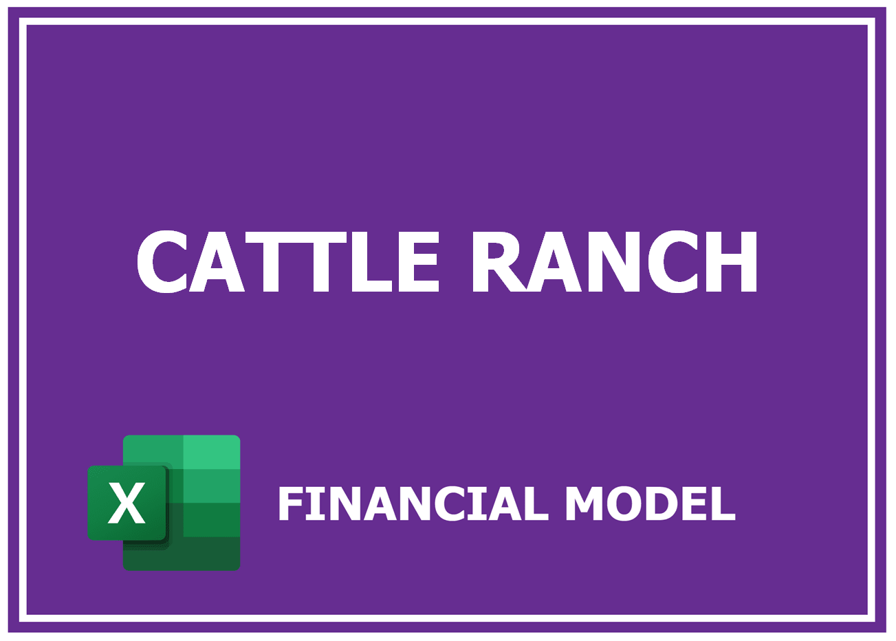 Excel financial model