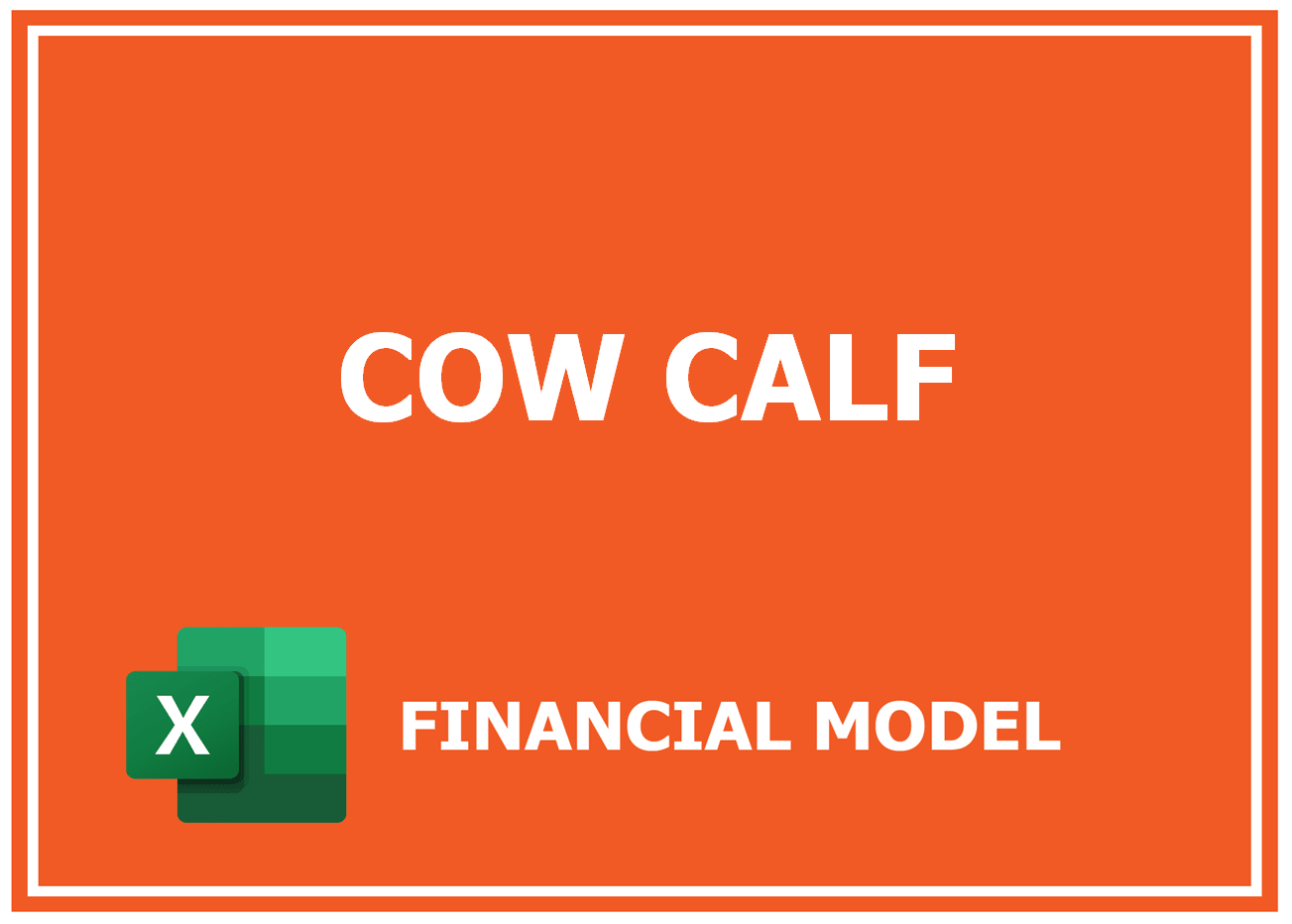 Excel financial model