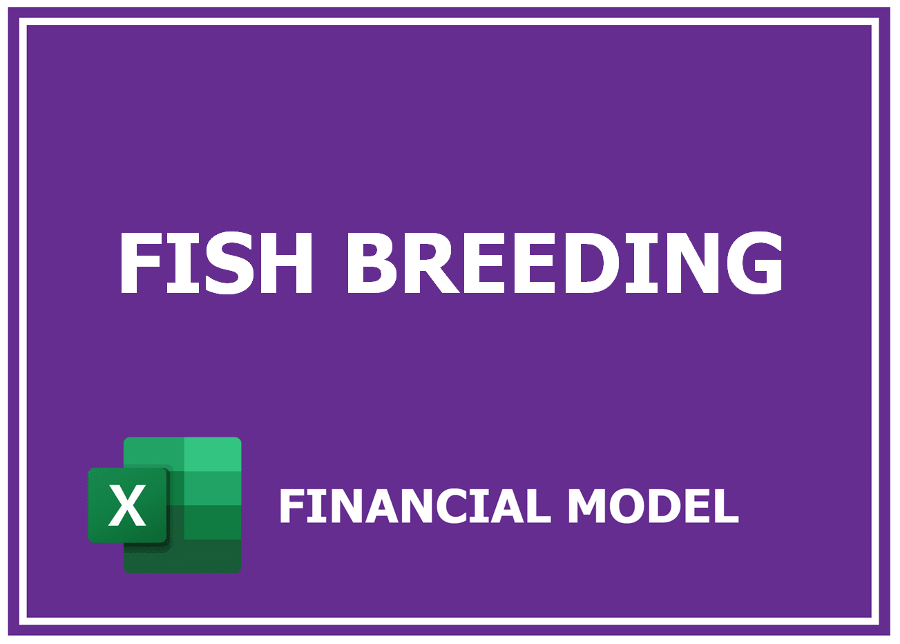 Excel financial model