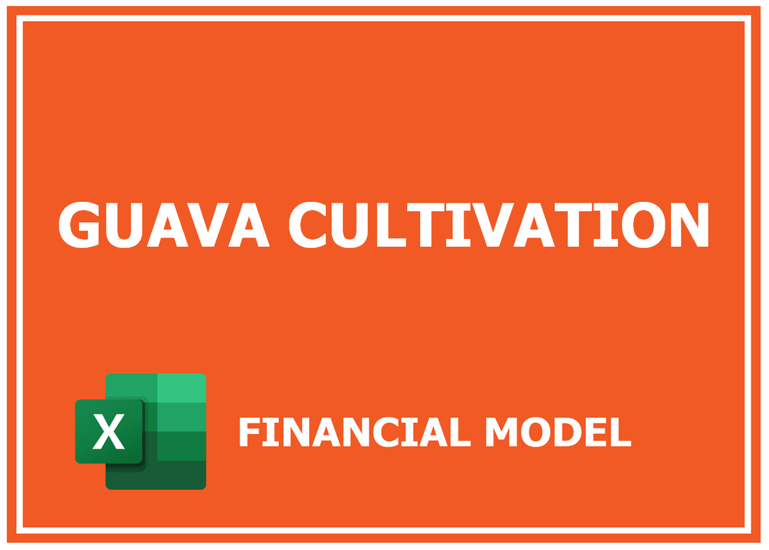 Guava Cultivation Financial Model