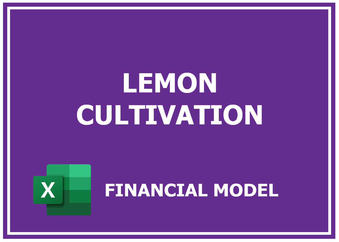 Excel financial model