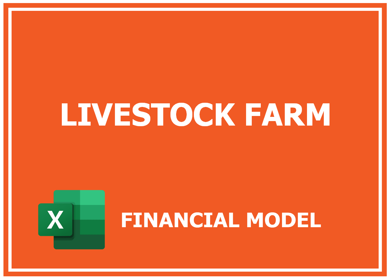 Excel financial model