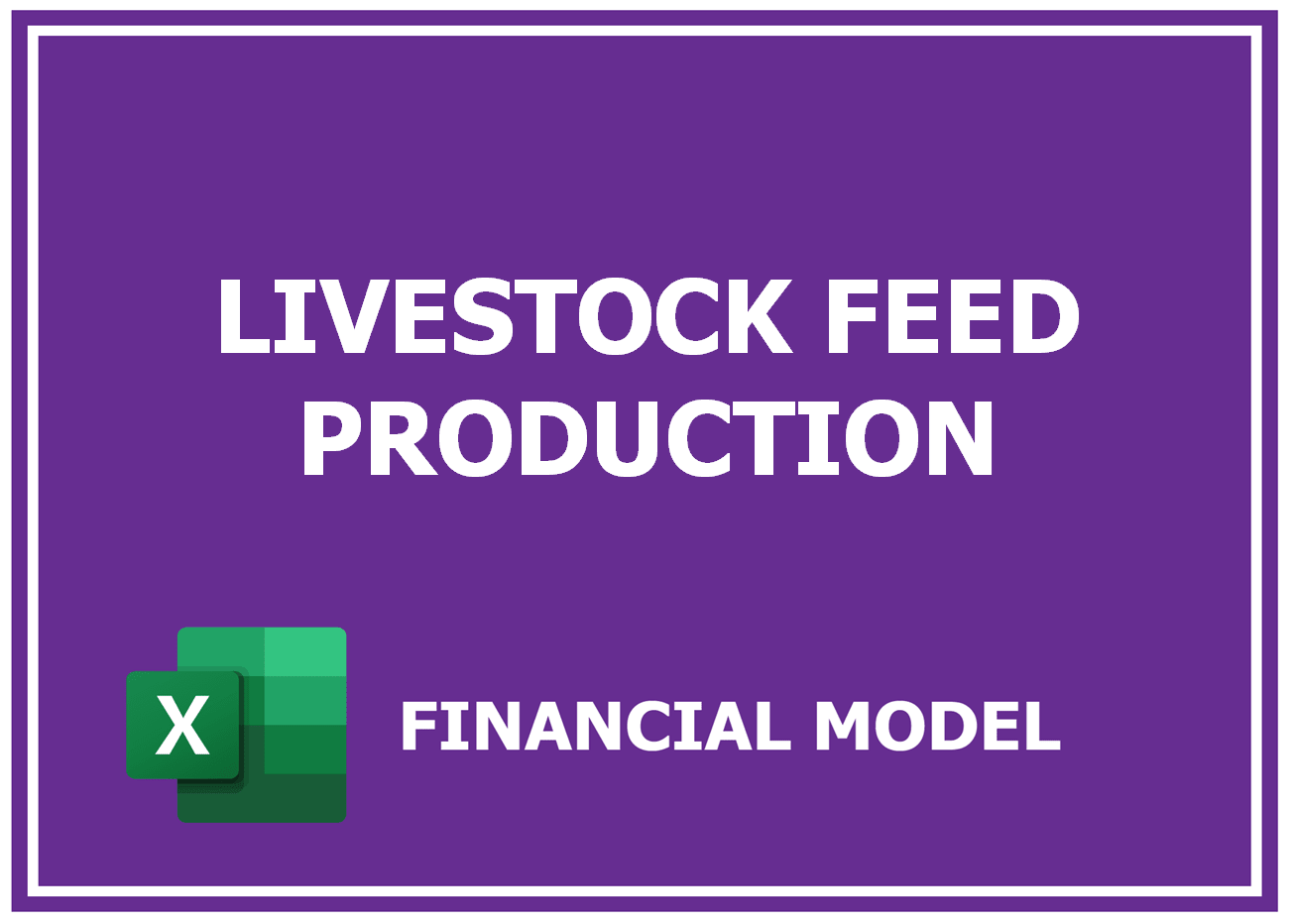 Excel financial model