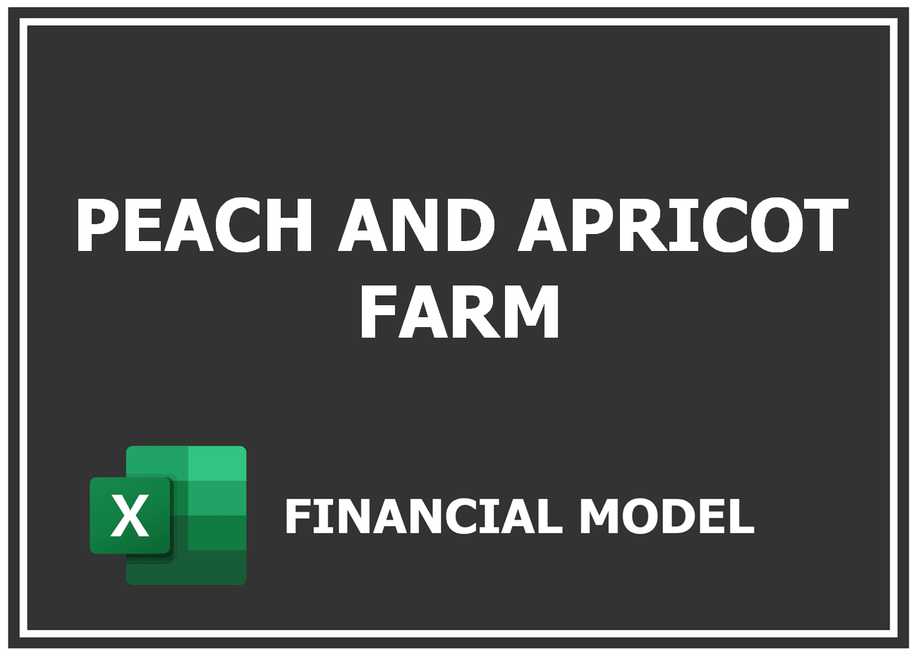 Excel financial model