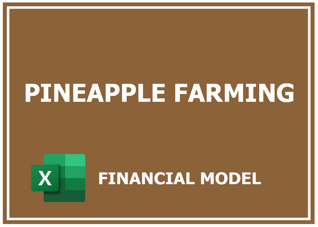 Pineapple Farming Financial Model