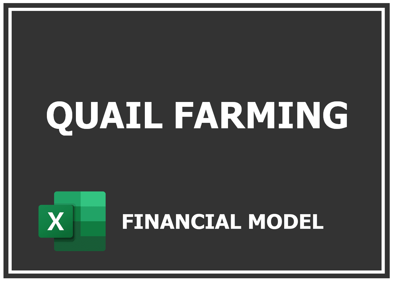 Excel financial model