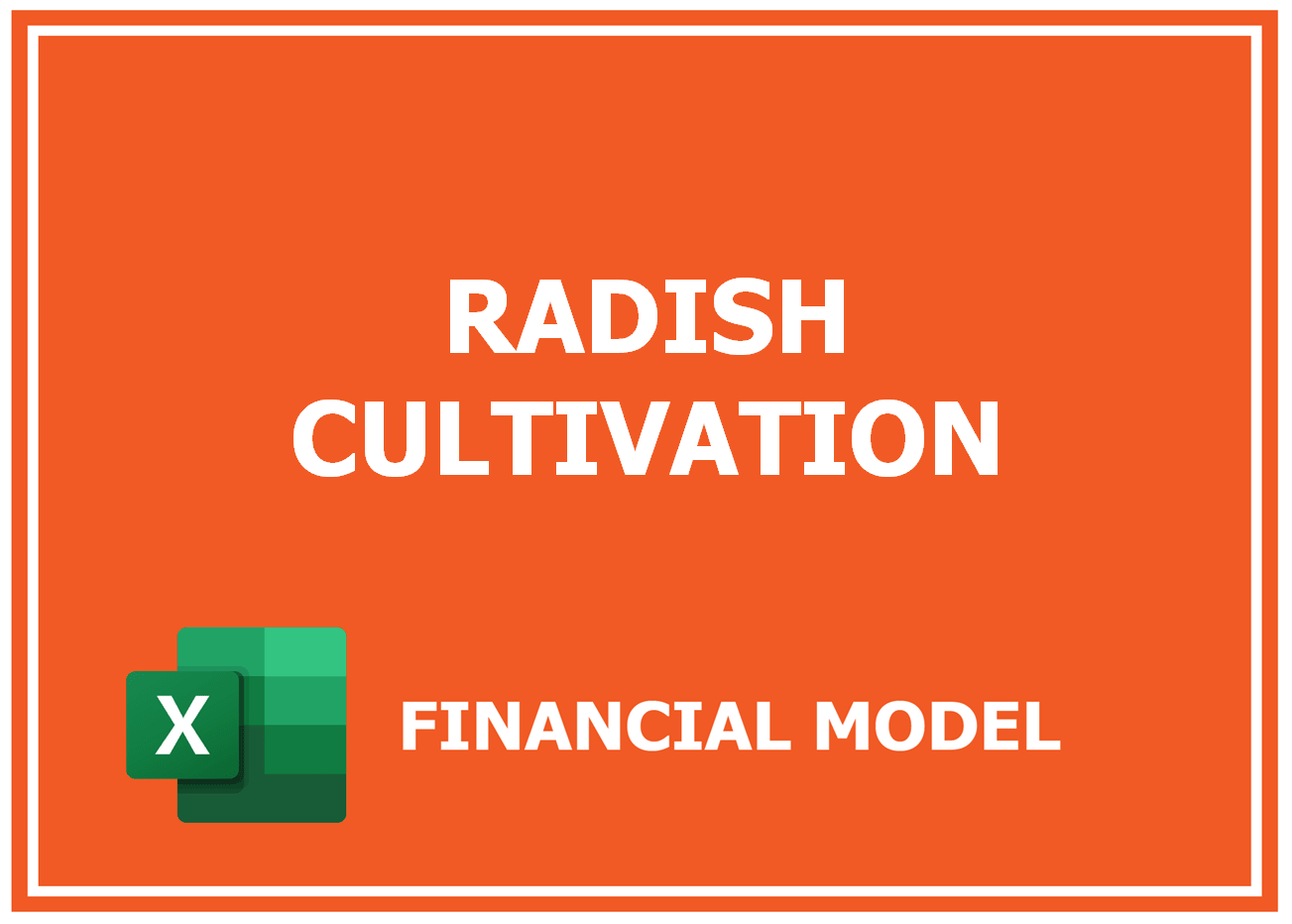 Excel financial model