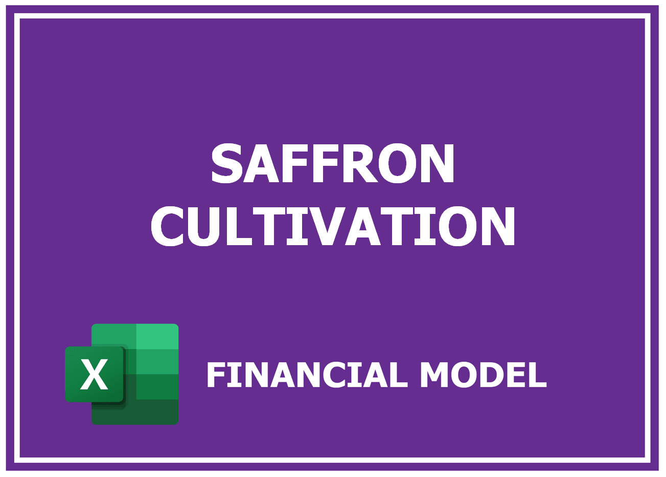 Excel financial model