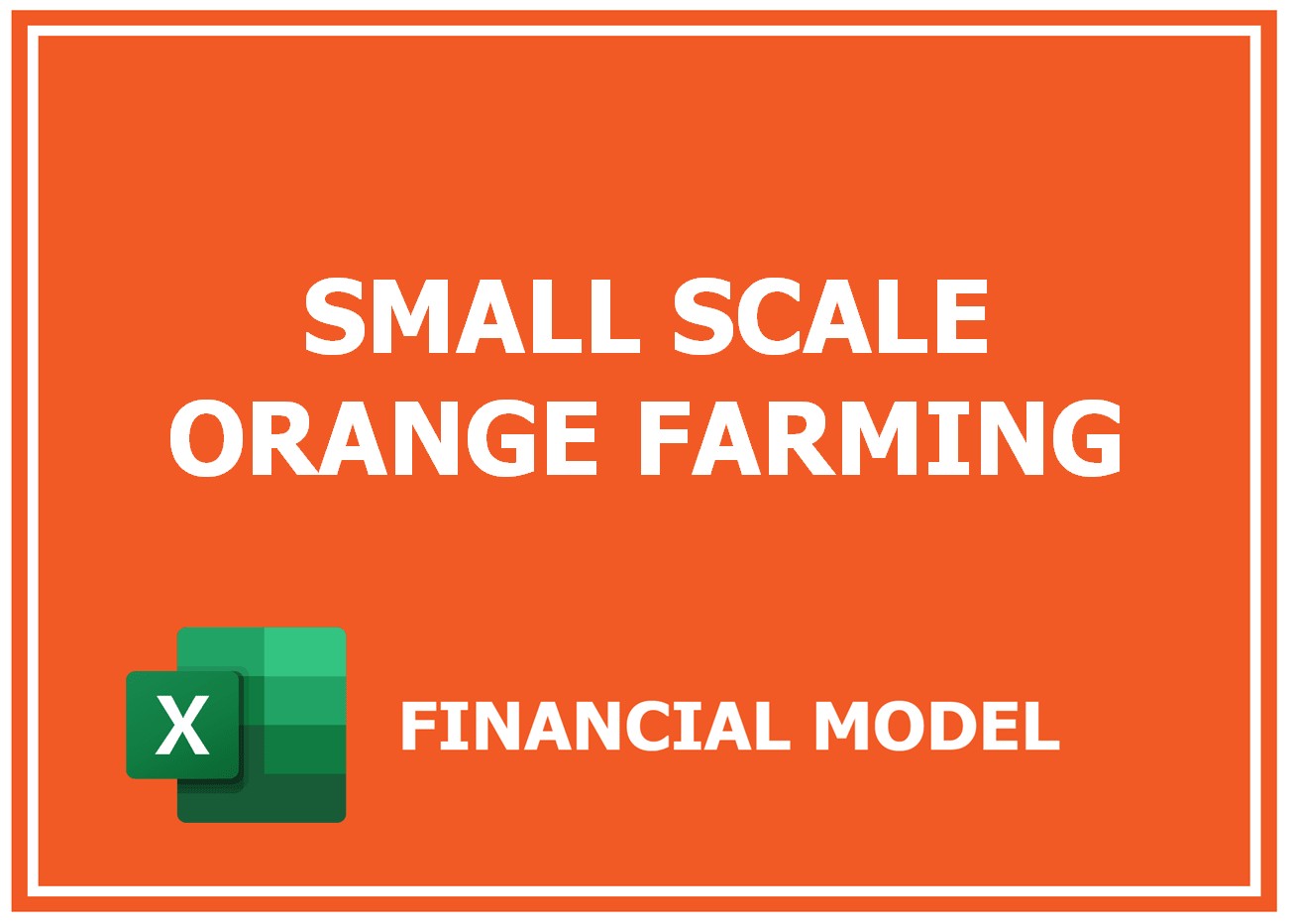 Excel financial model