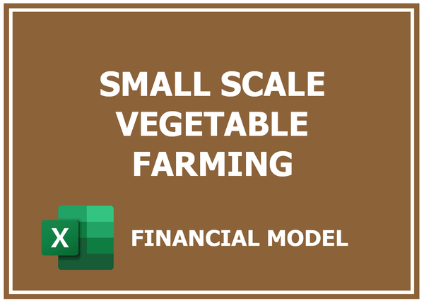 Small Scale Vegetable Farming Financial Model