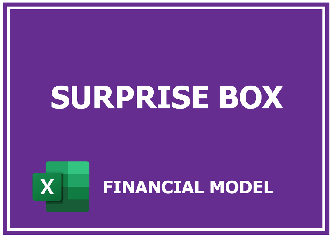 Surprise Subscription Box Financial Model