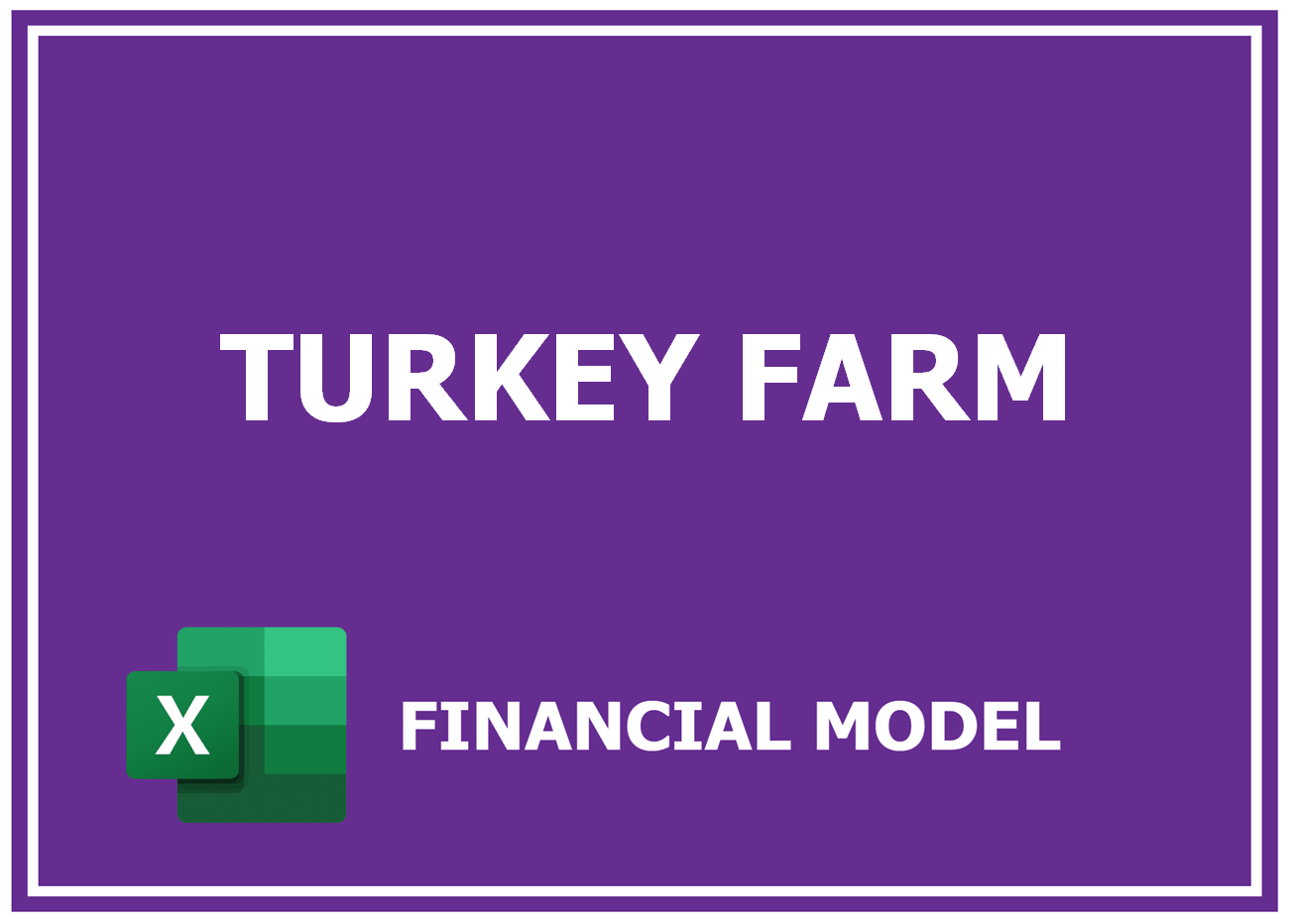 Excel financial model