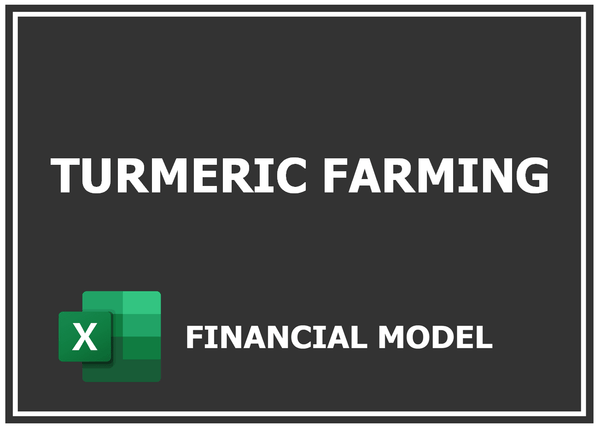 Turmeric Farming Financial Model