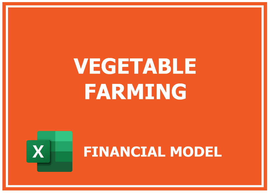 Vegetable Farming Financial Model