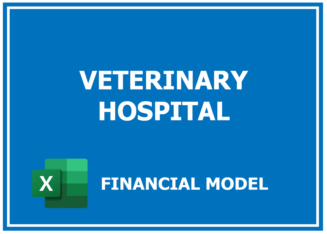 Veterinary Hospital Financial Model