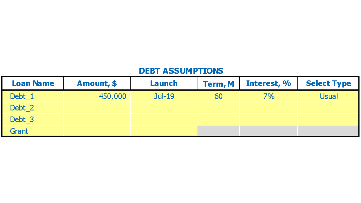 Seed Retailing Store Financial Projection Excel Template Debts Inputs