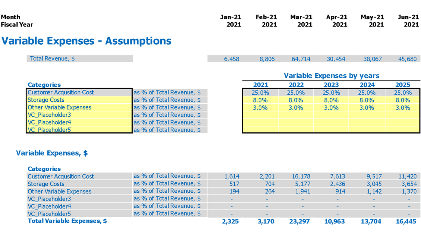 Private Labeling Financial Model Excel Template Variable Expenses Assumptions