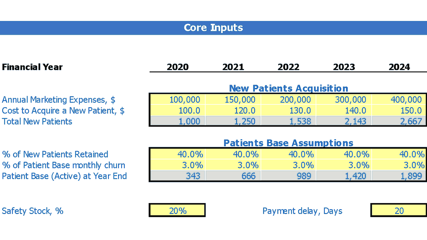 Acupuncture Center Financial Forecast Excel Template Dashboard Core Inputs
