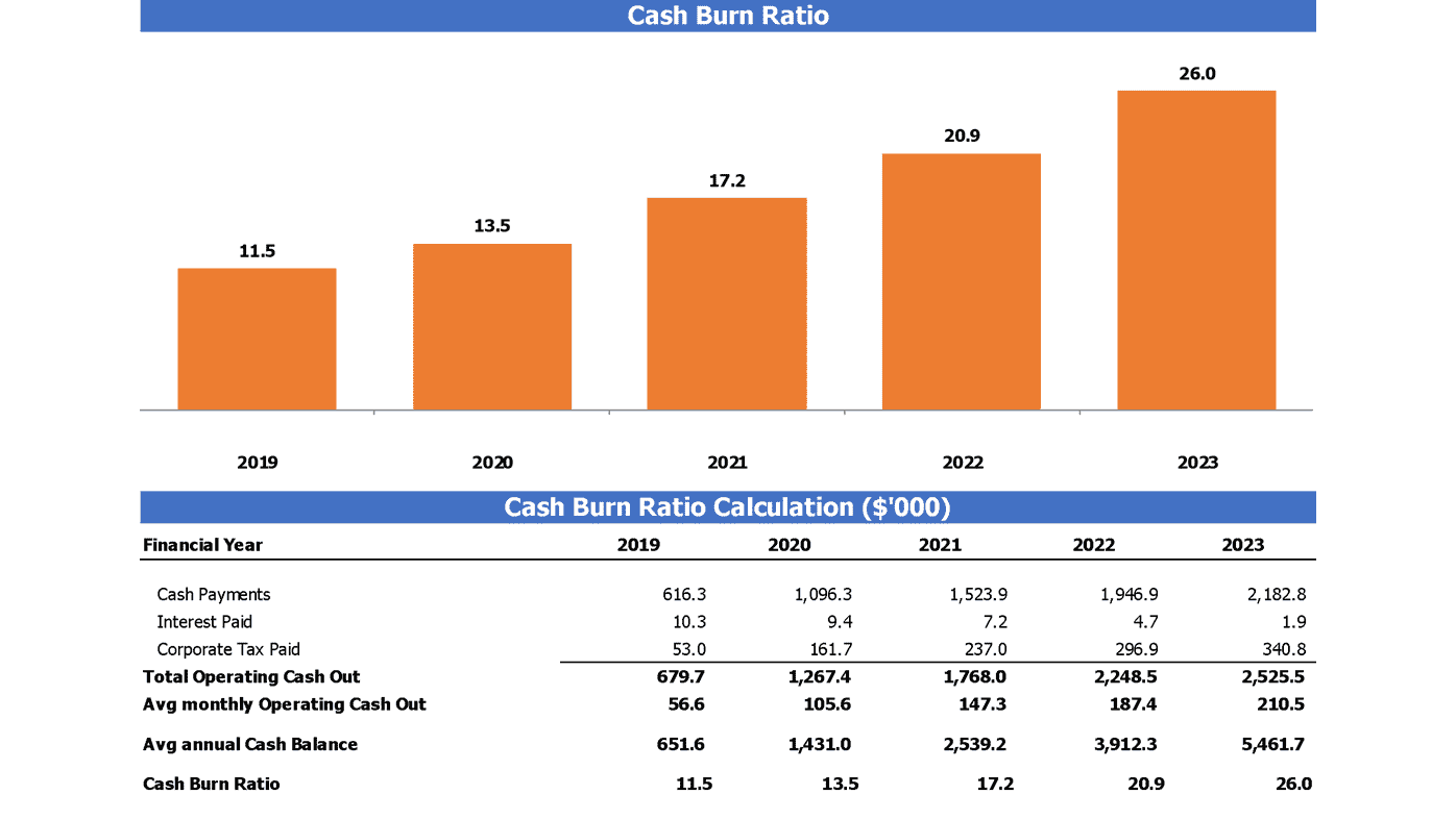 Beauty Subscription Box Cash Flow Forecast Excel Template Burn Rate